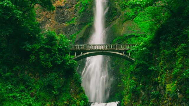Tall waterfall with bridge above Tall waterfall and bridge in green forest